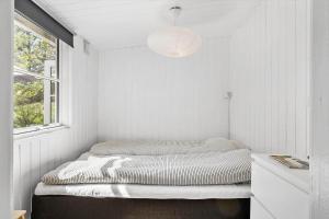 JB323-Fjerritslev-Markstien-21