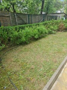 Cozy studio with balcony