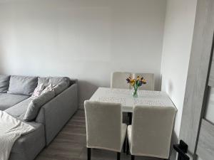 Apartament 2 pokojowy w Centrum Miasta