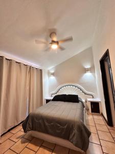 Central Petit Apartment