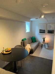 Newly renovated apartment close to city center