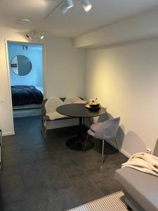 Newly renovated apartment close to city center