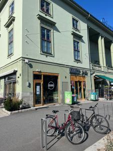 Newly renovated apartment close to city center