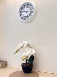 Elegant and bright flat in a quiet area