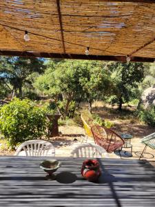 Entre Nature et Calanques, le repos en Provence