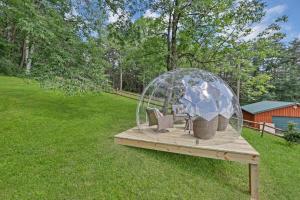Cabin with Stargazing Dome, Sauna, Hot Tub, Pickleball, Firepit