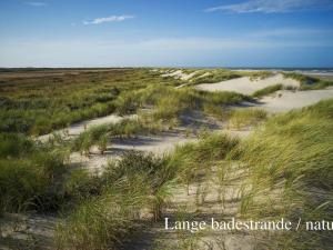 Apartment Elle - 50m from the sea by Interhome