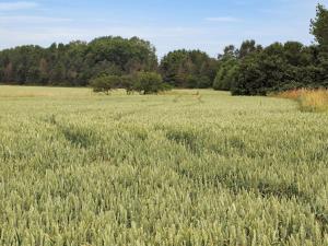 Holiday Home Jeip - 400m to the inlet by Interhome