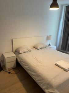 Brussels European flat