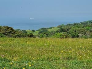 Holiday Home Miona - 725m from the sea by Interhome