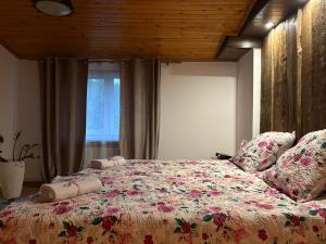 Agroturystyka Na Wypasie