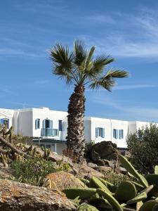 Jolie seaside maisonette!