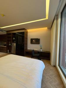 Starlight panaromic arravali view