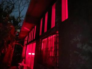 Dalí luz arte color