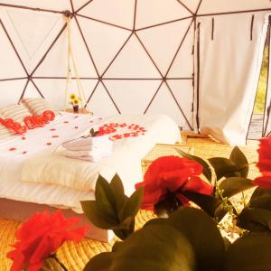 Glamping de lujo Jacuzzi, Sauna y Vista a la Montaña