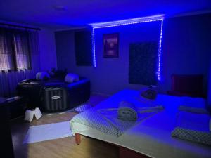 Apartman Sweet Dreams