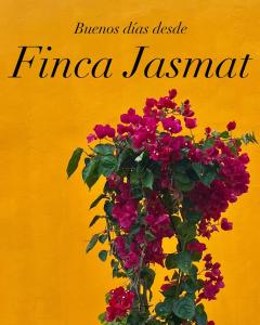 Finca Jasmat