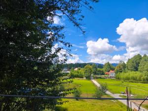 Campsite on a terrace within 1km of Ziro Music Festival