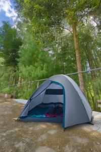 Campsite on a terrace within 1km of Ziro Music Festival