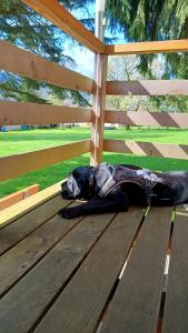 Family Home Weißensee