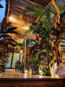 Loft Suite Altitude Cabin