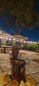 Apartment with garden