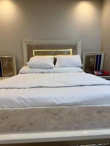 شقق فندقيه مجهزه بالكامل علي النيل مباشره