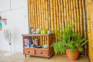 Tapihouse San Juan Del Sur