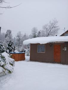 Cabaña Camino Termas de Chillan Hermoso Recinto
