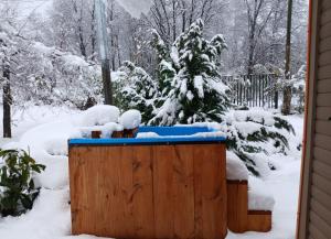 Cabaña Camino Termas de Chillan Hermoso Recinto