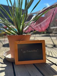 Les Mirabelles