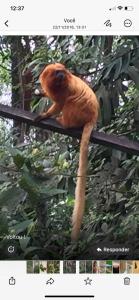 Hospedaria Alecrim - Pousada Sustentável APA