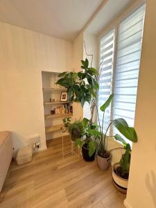 Heart of Nice Beautiful apartment 3 bedrooms