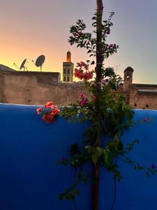 Riad La Mentha Panoramic Terrace in Fes Medina