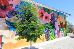 Kuxtalná en Valle de Guadalupe