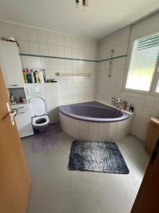 Holiday home with pool & dream view over Lake Constance