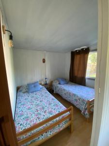 Cabaña Ruta Petrohue