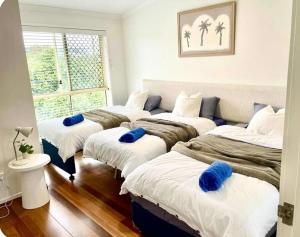 HEART OF Cotton Tree, Maroochydore BEACH & RIVER