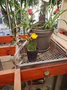 Habitación con baño privado 1 cama doble