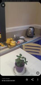 Habitación con baño privado 1 cama doble