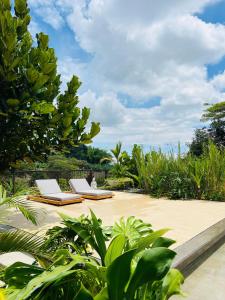 Finca La Mesa Un Paraíso de Naturaleza y Confort en el Eje Cafetero