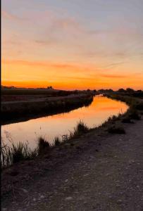 Red Roof Cottage 2 •hot tub• fire pit• cold plunge