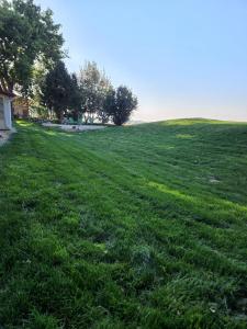 Red Roof Cottage 2 •hot tub• fire pit• cold plunge