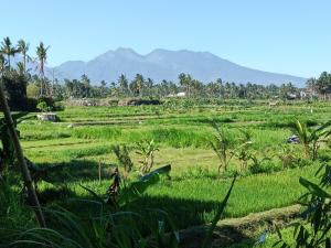 Zinzis All-Inclusive Homestay