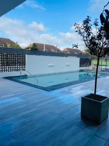 Depto 2D moderno y acogedor con ubicación de lujo