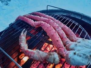 A Unique Arctic Retreat by DG Lomailu