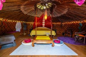 Reijgershof - Yurt Experience with garden view