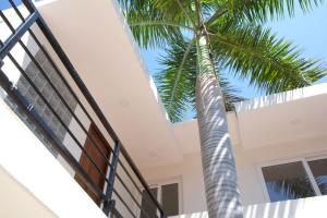 Sayulita main break beach studio