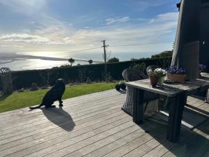 340 Degrees Alps & Sea Eco Living