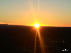 Desert Gardens Oasis Camping in Lobo, TX